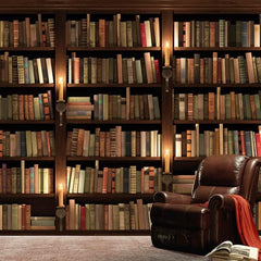 Bookshelf Library Wallpaper Mural