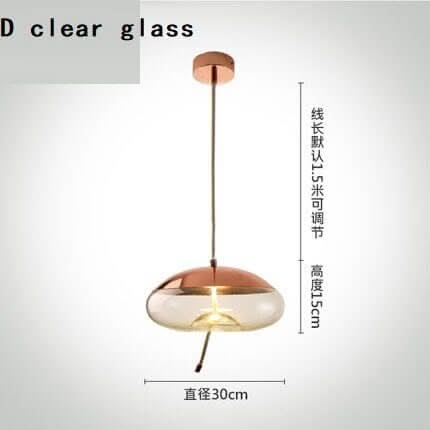 Clear Glass Pendant Light – Smoke Glass Hanging Lamp with Remote